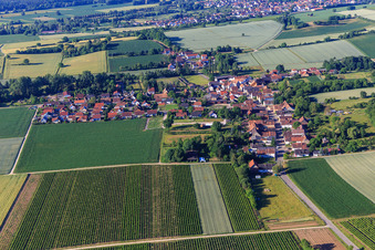 Vue aérienne de Vue du village depuis le nord à le quartier Kleinsteinfeld in Niederotterbach dans le département Rhénanie-Palatinat, Allemagne