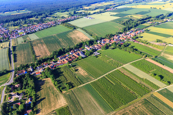 Vue aérienne de Vue du village depuis le nord à Vollmersweiler dans le département Rhénanie-Palatinat, Allemagne