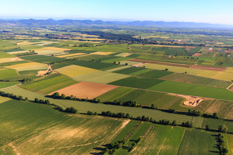 Vue aérienne de Chantier de construction du parc éolien EnBW Freckenfeld - pour éolienne avec 6 éoliennes à Freckenfeld dans le département Rhénanie-Palatinat, Allemagne