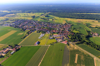 Vue aérienne de Vue du village depuis le nord à Minfeld dans le département Rhénanie-Palatinat, Allemagne