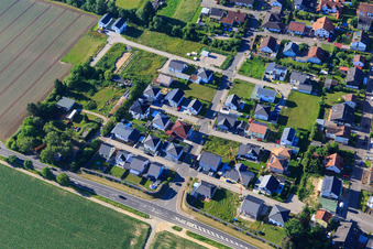 Vue aérienne de Nouvelle zone de développement Im Holderbusch vue du nord à Minfeld dans le département Rhénanie-Palatinat, Allemagne