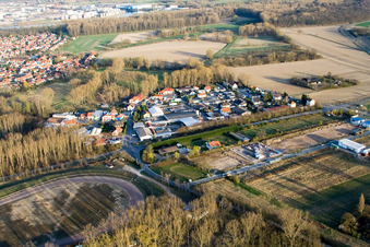 Vue aérienne de Au Sandzug à Altrip dans le département Rhénanie-Palatinat, Allemagne