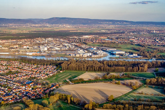 Vue aérienne de Rheinauhafen vu de l'ouest à le quartier Rheinau in Mannheim dans le département Bade-Wurtemberg, Allemagne
