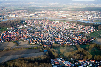 Vue aérienne de Vue des rues et des maisons dans les quartiers résidentiels à Altrip dans le département Rhénanie-Palatinat, Allemagne