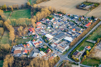 Vue aérienne de Dans la roselière à Altrip dans le département Rhénanie-Palatinat, Allemagne