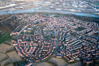 Photographie aérienne de Vue des rues et des maisons dans les quartiers résidentiels à Altrip dans le département Rhénanie-Palatinat, Allemagne