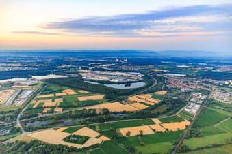 Vue aérienne de Vue d'ensemble de l'Industriepark Wörth GmbH le matin depuis le nord-ouest à travers le lac Kiefer Rathjen avec des camions Mercedes-Benz à Wörth am Rhein dans le département Rhénanie-Palatinat, Allemagne