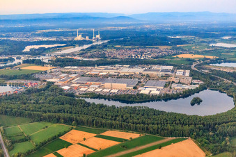 Photographie aérienne de Vue d'ensemble de l'Industriepark Wörth GmbH le matin depuis le nord-ouest à travers le lac Kiefer Rathjen avec des camions Mercedes-Benz à Wörth am Rhein dans le département Rhénanie-Palatinat, Allemagne