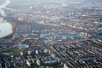 Vue aérienne de Niederfeld, Lindenhof à le quartier Lindenhof in Mannheim dans le département Bade-Wurtemberg, Allemagne