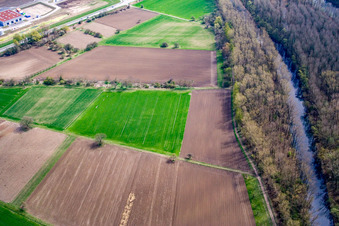 Vue aérienne de Vieux Rhin à Oberwald à Wörth am Rhein dans le département Rhénanie-Palatinat, Allemagne