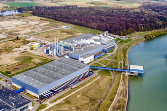 Zone industrielle d'Oberwald : usine de papier Palm à Wörth am Rhein dans le département Rhénanie-Palatinat, Allemagne depuis l'avion