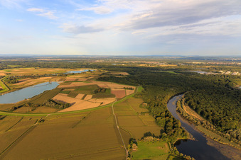 Vue aérienne de Barrage de polder entre le Vieux Rhin au sud de Jockgrim et le lac de carrière de Streitgraben à Jockgrim dans le département Rhénanie-Palatinat, Allemagne