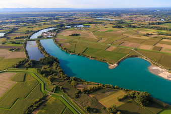 Vue aérienne de Pont de polder entre le Vieux Rhin à Neupotz et le lac de carrière de Rheinzabern à Neupotz dans le département Rhénanie-Palatinat, Allemagne