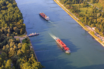 Vue aérienne de Le ferry du Rhin Leimersheim attend 2 cargos sur le Rhin à Leimersheim dans le département Rhénanie-Palatinat, Allemagne