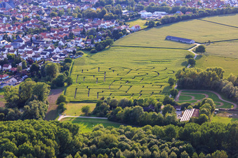Vue aérienne de Labyrinthe de maïs à Seehof (Aussiedlerhof) à Leimersheim dans le département Rhénanie-Palatinat, Allemagne