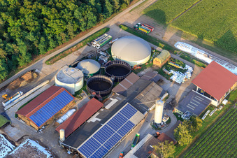 Vue aérienne de Installations de biogaz de Meerwarth Energie GmbH à le quartier Oberhausen in Oberhausen-Rheinhausen dans le département Bade-Wurtemberg, Allemagne