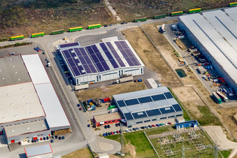 Vue aérienne de Zone industrielle d'Oberwald, entreprise de transport Nuss, siège social de SKA à Wörth am Rhein dans le département Rhénanie-Palatinat, Allemagne