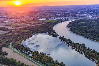 Vue aérienne de Kiefweiher sur le Rhin au coucher du soleil avec le Sportboot-Club Ludwigshafen/Rhein et le MCP Yacht Club et Restaurant Ludwigshafen à le quartier Rheingönheim in Ludwigshafen am Rhein dans le département Rhénanie-Palatinat, Allemagne