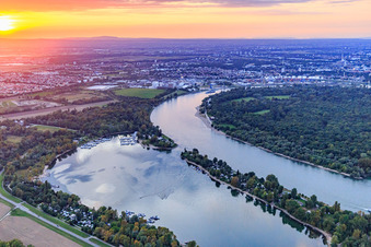 Vue oblique de Kiefweiher sur le Rhin au coucher du soleil avec le Sportboot-Club Ludwigshafen/Rhein et le MCP Yacht Club et Restaurant Ludwigshafen à le quartier Rheingönheim in Ludwigshafen am Rhein dans le département Rhénanie-Palatinat, Allemagne