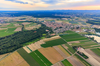 Vue aérienne de Vue de la ville depuis le nord-est à Waldsee dans le département Rhénanie-Palatinat, Allemagne
