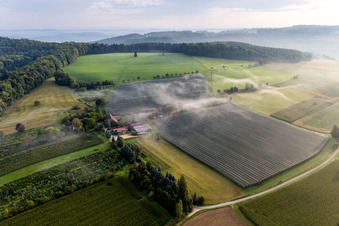 Vue aérienne de Plantations fruitières sous filets de protection à le quartier Güttingen in Radolfzell am Bodensee dans le département Bade-Wurtemberg, Allemagne