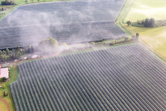 Vue aérienne de Plantations fruitières sous filets de protection à le quartier Güttingen in Radolfzell am Bodensee dans le département Bade-Wurtemberg, Allemagne