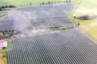 Photographie aérienne de Plantations fruitières sous filets de protection à le quartier Güttingen in Radolfzell am Bodensee dans le département Bade-Wurtemberg, Allemagne