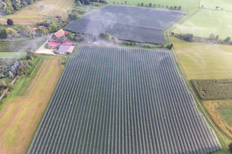 Vue oblique de Plantations fruitières sous filets de protection à le quartier Güttingen in Radolfzell am Bodensee dans le département Bade-Wurtemberg, Allemagne