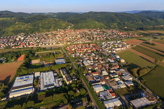 Vue aérienne de Zone industrielle des deux côtés de la Dr.-Werner-Freyberg-Straße avec Freudenberg Sealing Technologies DYNEXA GmbH & Co. KG, CremPet devient animea et A & S Holzbau Schreinerei GmbH à Laudenbach dans le département Bade-Wurtemberg, Allemagne