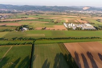 Vue aérienne de Station d'épuration de l'association des eaux usées de Bergstraße à Weinheim dans le département Bade-Wurtemberg, Allemagne