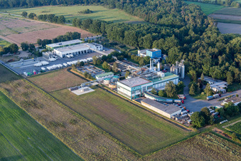 Vue oblique de Süpro GmbH à le quartier Hüttenfeld in Lampertheim dans le département Hesse, Allemagne