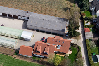 Vue oblique de Ferme biologique Kugelmann à Kandel dans le département Rhénanie-Palatinat, Allemagne