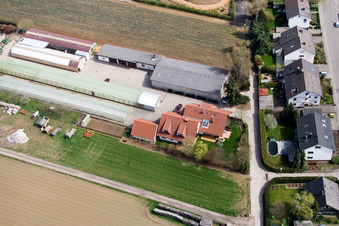 Ferme biologique Kugelmann à Kandel dans le département Rhénanie-Palatinat, Allemagne d'en haut
