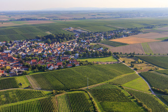 Vue aérienne de Vue du village entre champs et vignes depuis le nord-est à Bechtheim dans le département Rhénanie-Palatinat, Allemagne