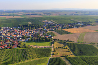 Vue aérienne de Terrain de sport du TSG 1883 Bechtheim à Bechtheim dans le département Rhénanie-Palatinat, Allemagne