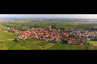 Vue aérienne de Panorama du village entre les vignes depuis le nord à Bechtheim dans le département Rhénanie-Palatinat, Allemagne