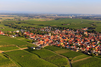 Photographie aérienne de Vue du village entre les vignes depuis le nord à Bechtheim dans le département Rhénanie-Palatinat, Allemagne
