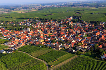 Vue aérienne de Rue Marie-Luisen à Bechtheim dans le département Rhénanie-Palatinat, Allemagne
