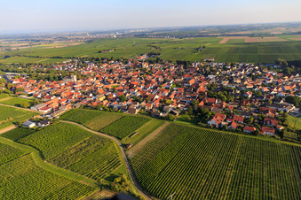 Vue du village entre les vignes depuis le nord à Bechtheim dans le département Rhénanie-Palatinat, Allemagne d'en haut