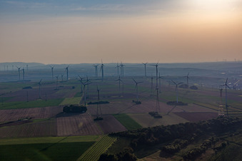 Vue oblique de Parc éolien à Gau-Heppenheim dans le département Rhénanie-Palatinat, Allemagne