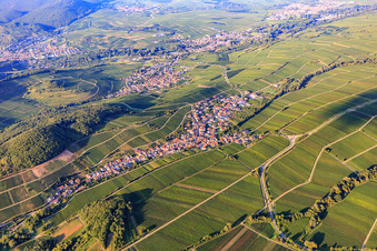 Vue aérienne de Village viticole entre les vignes en bordure du Haardt du sud-ouest à Ranschbach dans le département Rhénanie-Palatinat, Allemagne