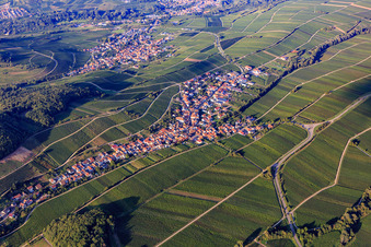 Vue aérienne de Village viticole entre les vignes en bordure du Haardt du sud-ouest à Ranschbach dans le département Rhénanie-Palatinat, Allemagne