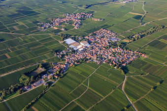 Vue aérienne de Böchingen dans le département Rhénanie-Palatinat, Allemagne