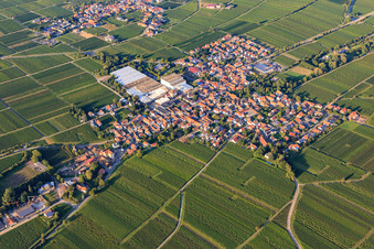 Vue aérienne de Village viticole avec cave à vin mousseux Schloss Wachenheim AG entre les vignobles du sud-ouest à Böchingen dans le département Rhénanie-Palatinat, Allemagne