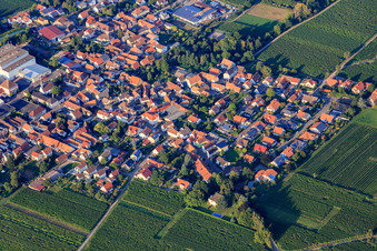 Vue aérienne de Vue du village entre les vignes depuis le sud-ouest à Böchingen dans le département Rhénanie-Palatinat, Allemagne