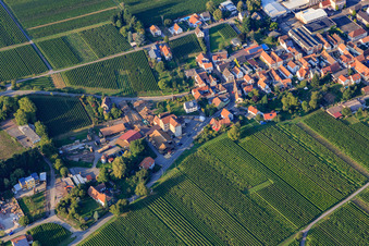 Vue aérienne de Scierie Philipp Pfirrmann Söhne eK à Böchingen dans le département Rhénanie-Palatinat, Allemagne