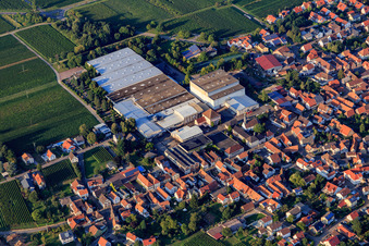 Vue aérienne de Caves à vins mousseux Schloss Wachenheim AG et Böchinger Schloss à Böchingen dans le département Rhénanie-Palatinat, Allemagne