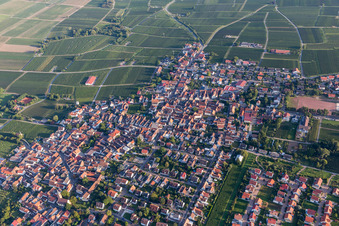 Vue d'oiseau de Quartier Nußdorf in Landau in der Pfalz dans le département Rhénanie-Palatinat, Allemagne