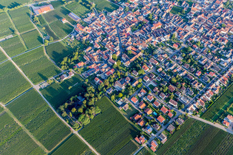 Quartier Nußdorf in Landau in der Pfalz dans le département Rhénanie-Palatinat, Allemagne vue du ciel