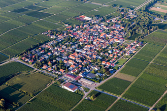 Vue aérienne de Walsheim dans le département Rhénanie-Palatinat, Allemagne